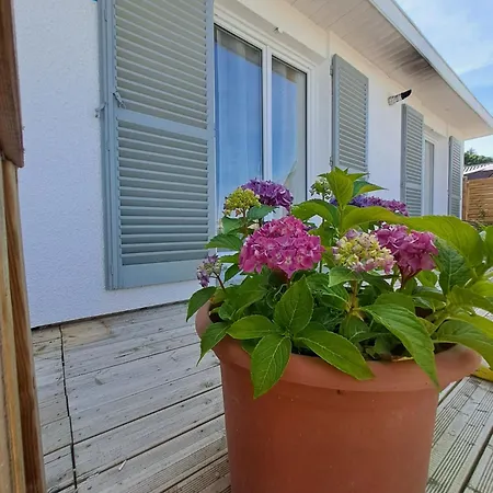 Puy Mary Et Puy Griou Apartamento Saint-Cernin (Cantal)