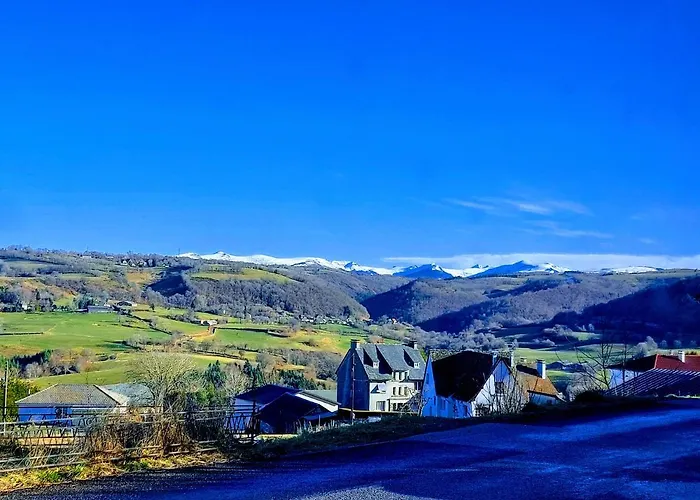 Appartement Puy Mary Et Puy Griou