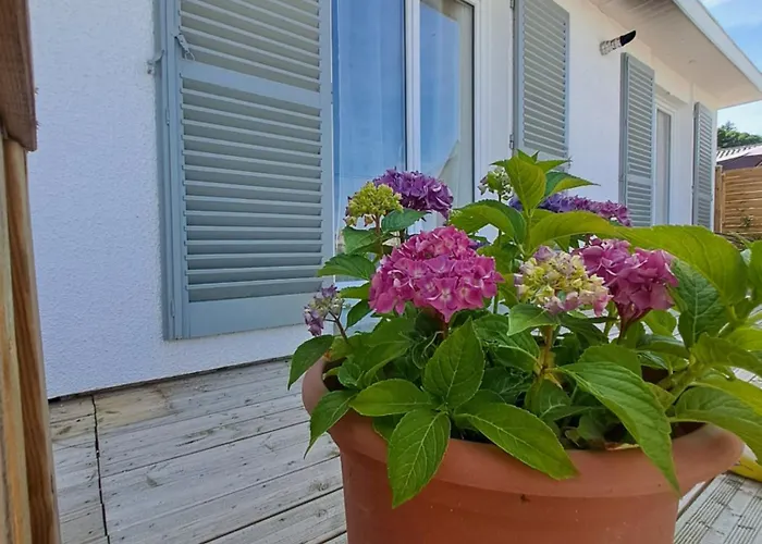 Puy Mary Et Puy Griou Appartement Saint-Cernin (Cantal)